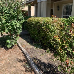 Bush Trimming by D&amp;D Lawn Love reviewed on June 21, 2025