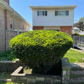 Bush Trimming by KCT Landscaping  reviewed on August 1, 2026