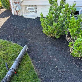 Flower Bed Weeding by Drew lawn care reviewed on June 17, 2026