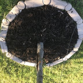 Flower Bed Weeding by T's Mow Blow &amp; Go reviewed on June 25, 2025