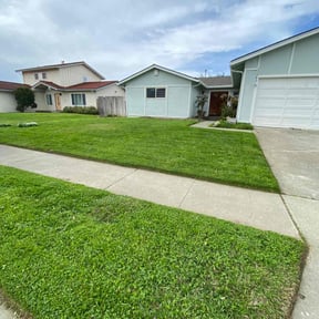 yard work by Tikitiki Garden Service reviewed on August 18, 2025