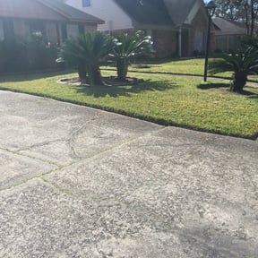 Flower Bed Weeding by All your needs lawn care reviewed on August 14, 2025