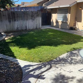 yard care by Michael Dover Jr reviewed on August 19, 2025
