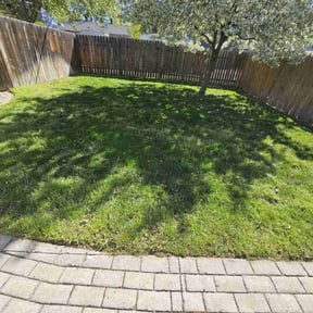 grass cutting by Beast Mode Lawn Care LLC reviewed on August 20, 2025