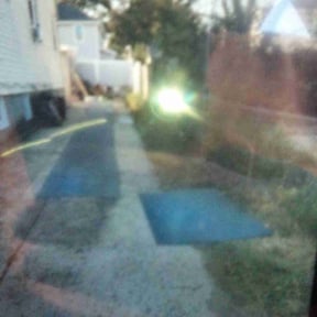 Bush Trimming by MOW-TIVATED LAWN SERVICES reviewed on November 6, 2025