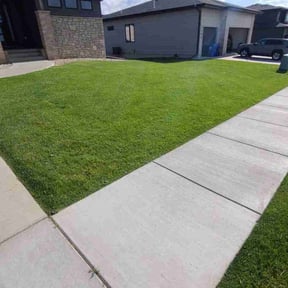 Bush Trimming by G's outdoor upgrades reviewed on June 15, 2022