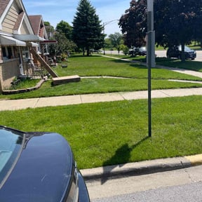 turf care by D&amp;D Reliable Services LLC reviewed on April 19, 2024