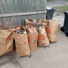 Leaf Removal by Roger waddle service llc reviewed on May 30, 2025