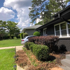 Bush Trimming by Motown yard care reviewed on August 21, 2025