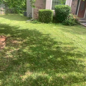 Bush Trimming by It'z Done Home improvement / Landscaping & Snow Removal reviewed on August 15, 2025