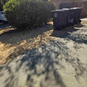 Leaf Removal by First Stop Lawn Care reviewed on September 7, 2025