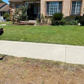 turf care by ArmStrongs Lawncare reviewed on August 21, 2025