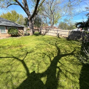 landscaping services by Holmes Got You reviewed on November 27, 2025