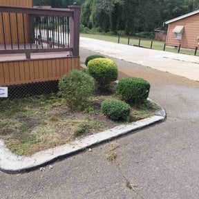 Bush Trimming by J n J Services reviewed on November 19, 2025