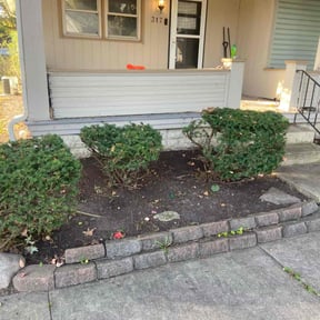 Bush Trimming by Hydro landscape &amp; pressure washing  reviewed on August 15, 2023