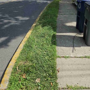 lawn care services by Dwayne Browne LLC reviewed on July 21, 2025