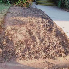 Flower Bed Weeding by Jordan's Lawn Service reviewed on November 27, 2025