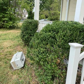 Bush Trimming by Chek'Rd Lawn Service reviewed on December 11, 2025