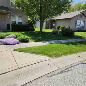 gardening service by OC Lawn Care Services reviewed on August 16, 2025