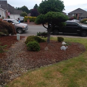 Bush Trimming by Frederickson Lawn Management reviewed on August 19, 2025