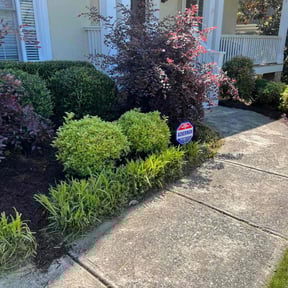 Mulching by Picture perfect lawn care N Property specialists reviewed on August 16, 2025