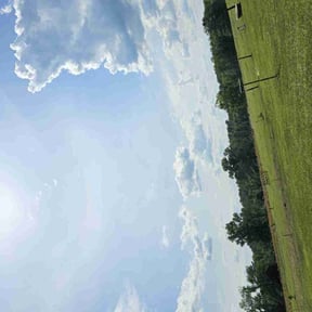 lawn maintenance by The Maintenance Department LLC reviewed on July 17, 2022