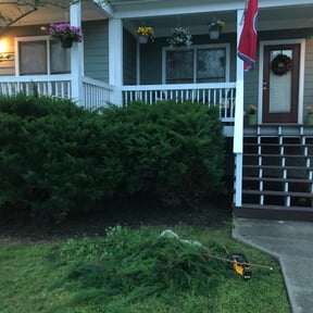 Bush Trimming by JR Lawn Maintenance reviewed on August 21, 2025