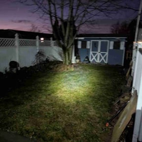 Leaf Removal by Sam Fox reviewed on November 24, 2025