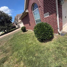 Bush Trimming by J and H Lawn Care reviewed on August 21, 2026