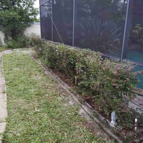 Bush Trimming by HTx Landscaping Services reviewed on August 21, 2025