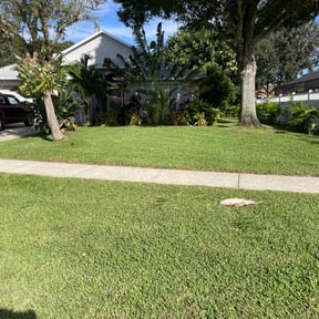 landscaping services by MR GARDENS LANDSCAPING LLC reviewed on November 19, 2025