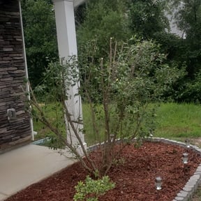 Bush Trimming by A Man and His Machines Lawn Services LLC  reviewed on August 15, 2025