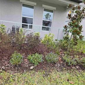 Flower Bed Weeding by Stack Lawn Care and More LLC reviewed on November 24, 2025