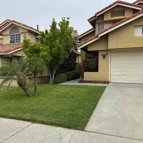 yard maintenance by Eden Landscape and Tree service reviewed on August 20, 2025