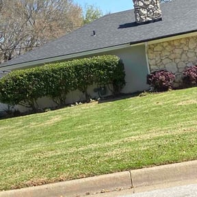 Bush Trimming by NKY Affordable Lawn Care &amp; Tree Service LLC reviewed on April 22, 2026