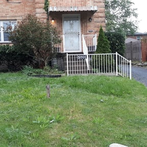 Bush Trimming by Premier Lawn & Landscaping reviewed on August 17, 2025