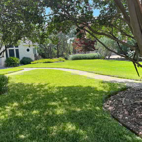 landscaping by The Bush Guys reviewed on September 16, 2021