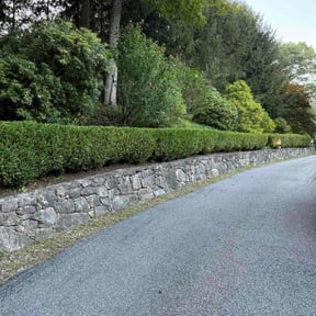 Bush Trimming by American Quality landscaping reviewed on November 7, 2025