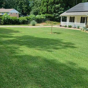 lawn care services by Precision Cuts reviewed on June 15, 2025