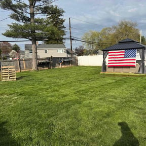 yard care by Jose Landscaping reviewed on November 22, 2025