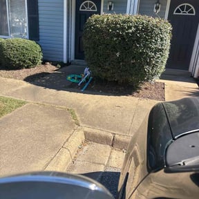 Bush Trimming by Devout Landscape reviewed on January 10, 2025