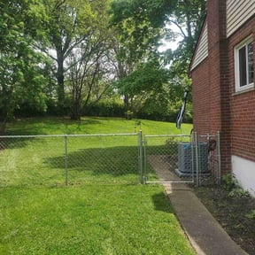 residential landscaping by Happy plantsman reviewed on November 11, 2024