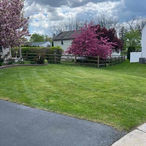 yard care by ERH landscaping reviewed on August 21, 2025