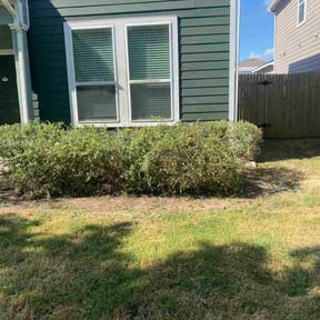 Bush Trimming by Checkpoint Lawn services reviewed on November 8, 2025