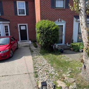 Bush Trimming by Gregorio’s lawn care reviewed on April 11, 2026