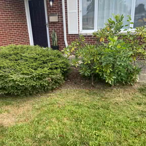 Flower Bed Weeding by Done Rite Lawn Maintenance reviewed on October 24, 2025