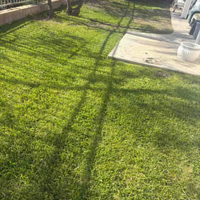 Bush Trimming by Dew cuts llc reviewed on May 17, 2026