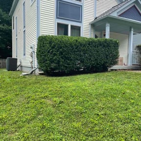 Bush Trimming by Family Lawn Care reviewed on August 20, 2025