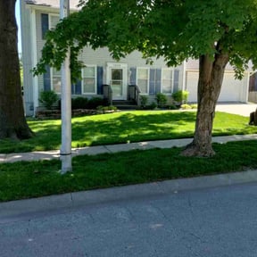 gardening service by All yards reviewed on May 14, 2023