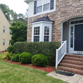 Bush Trimming by A_B Landscape Maintenance reviewed on August 19, 2025